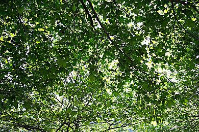 Steam喜加一 第三人称射击《Mido and Di》免费领取