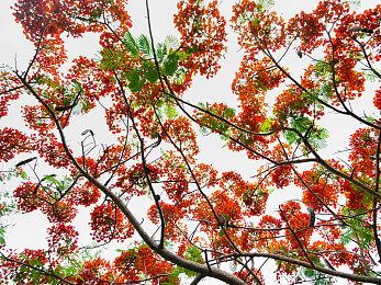 索尼互娱一副总裁因恋童癖被解雇 官方已证实